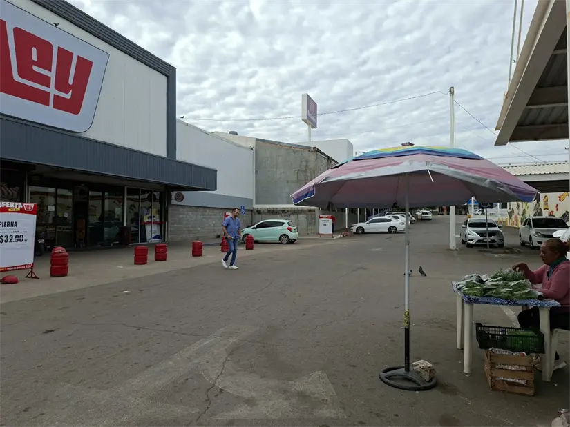 Patty atiende su puesto frente a la entrada principal de Casa Ley Calzada, donde cada día comparte frescura, trabajo y calidez con quienes la visitan. Foto: Juan Madrigal