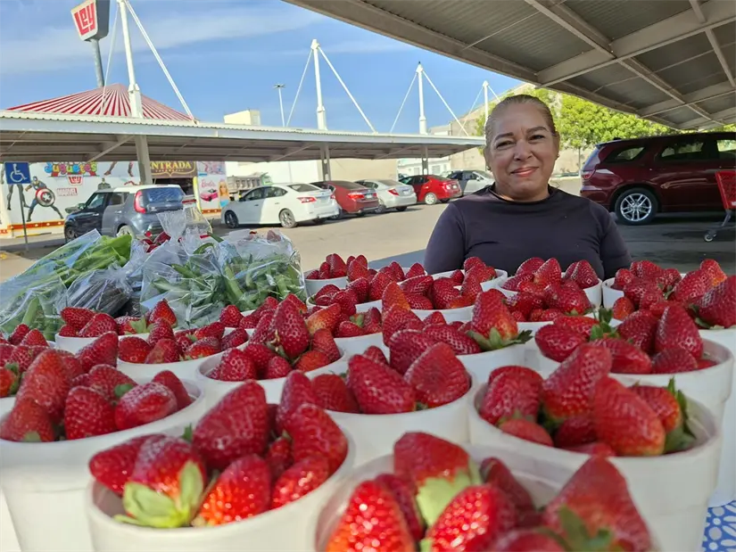 Lorena Patricia Castro García ‘señora de la fresa’ que comercializa más que fruta o verdura: vende confianza y humanidad en el estacionamiento de Casa Ley Calzada. Foto: Juan Madrigal