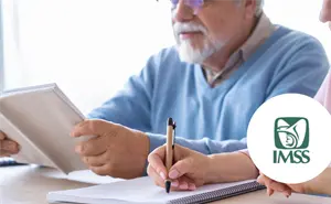 ¿Por qué el IMSS puede tardar varios meses para autorizar las pensiones?