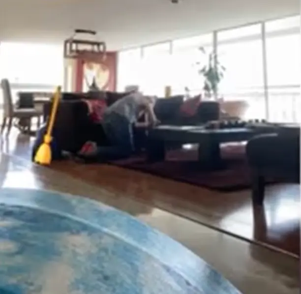 Casa de Fernanda Castillo, en CDMX. Foto: cortesía.