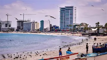 Playa Norte: el origen del Puerto de Mazatlán, una historia de trabajo, desarrollo y riqueza natural