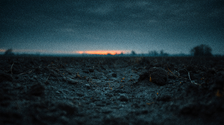 Creatividad y bienestar