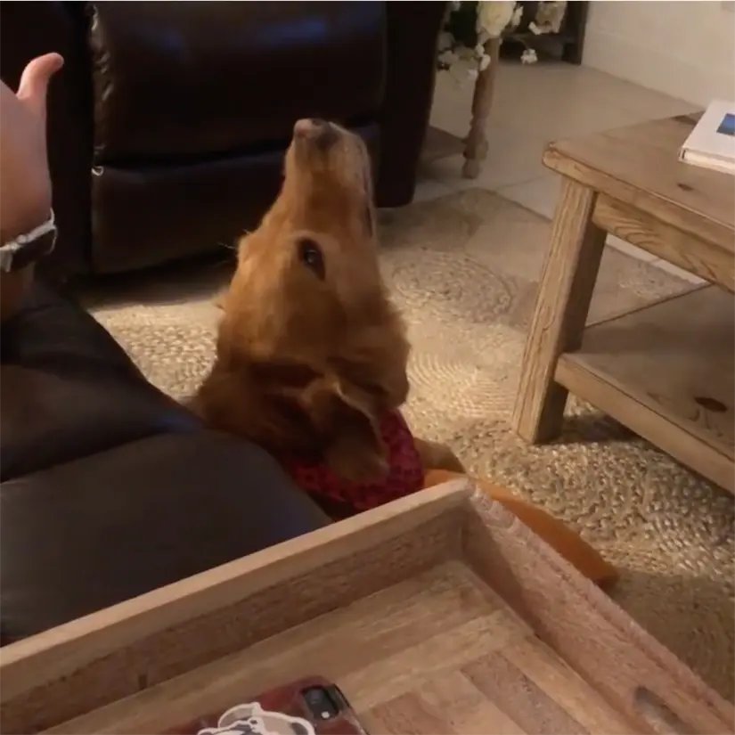 Sala de televisión en la casa de Laura Flores en Miami. Foto: cortesía.