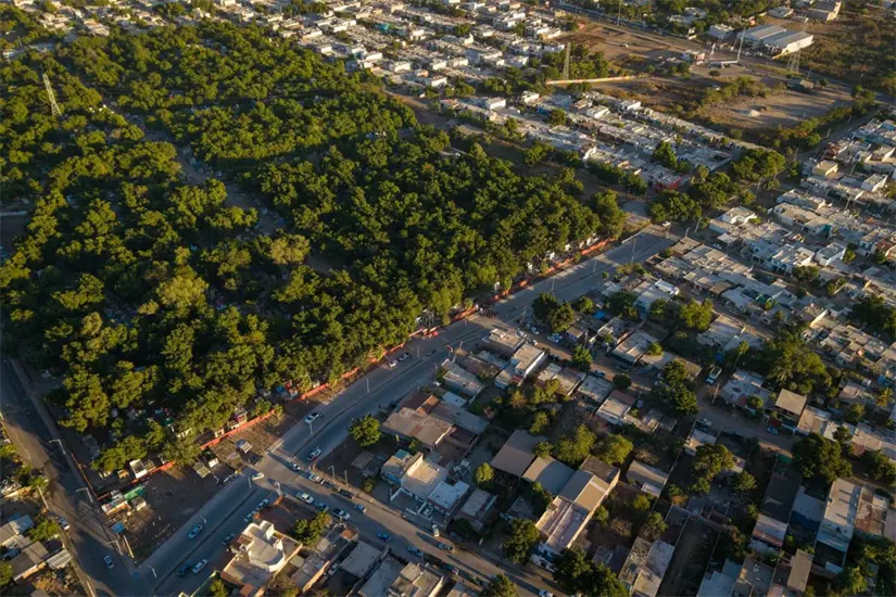 La obra en la colonia 21 de Marzo mejora movilidad y calidad de vida en Culiacán. Foto: Ayuntamiento de Culiacán