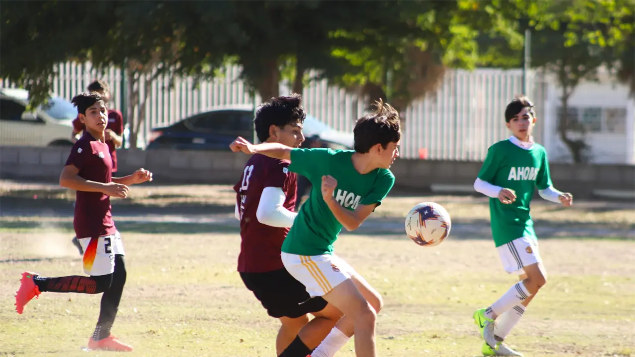 Etapas Zonales fortalecen el alto rendimiento en Sinaloa rumbo a la Olimpiada Nacional 2026. Foto: ISDE
