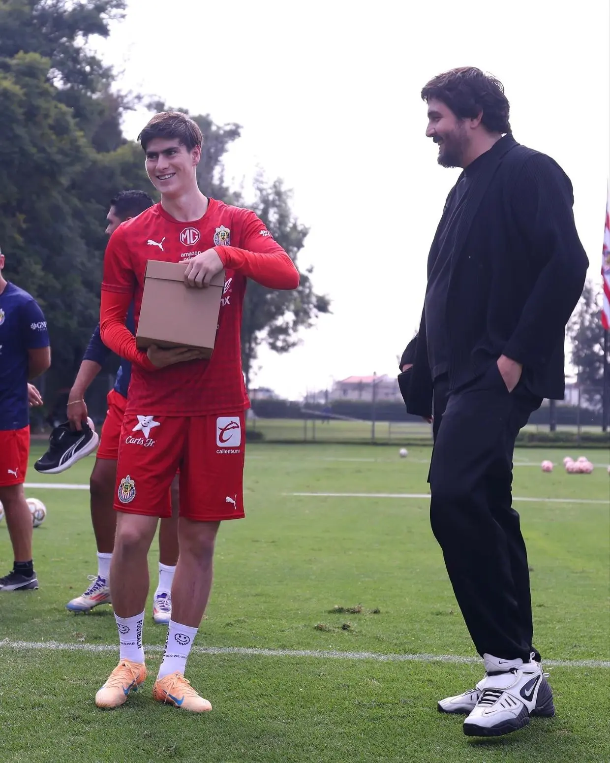 Empresas que dirige Amaury Vergara, además de Chivas. Foto: Cortesía