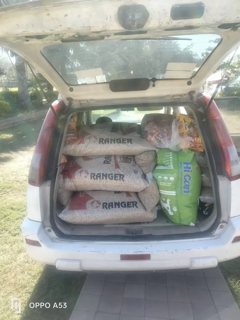 Croquetón Navideño apoya a rescatista que cuida a más de 28 perritos en Culiacán. Foto: Cortesía/ TBN