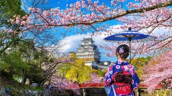 Viajes a Japón en 2026: descubre un destino cultural único para tu próximo viaje