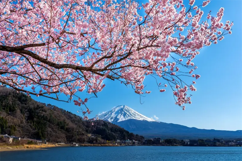 Paisajes japoneses: belleza natural y serenidad. Imagen: Freepik