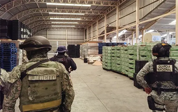 Golpe al crimen organizado en Michoac&aacute;n: autoridades federales detienen a 17 personas y decomisan arsenal