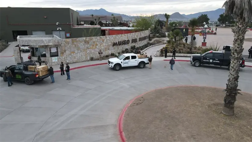 4 ejemplares de lobo gris mexicano fueron trasladados a Saltillo. Foto: Cortesía