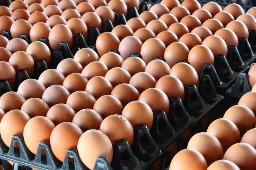 Bachoco se ha distinguido por la calidad de sus productos. Foto: Cortesía