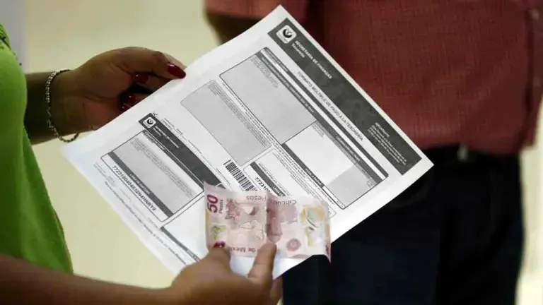 Conoce los requisitos para acceder al 100% de descuento del pago de la tenencia vehicular en CDMX. Foto: Cortesía.