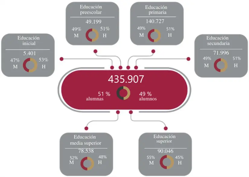 Alumnado por niveles en la zona centro.