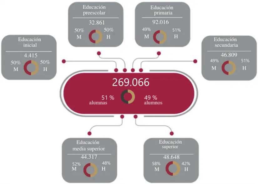 Alumnado por niveles en la zona norte.