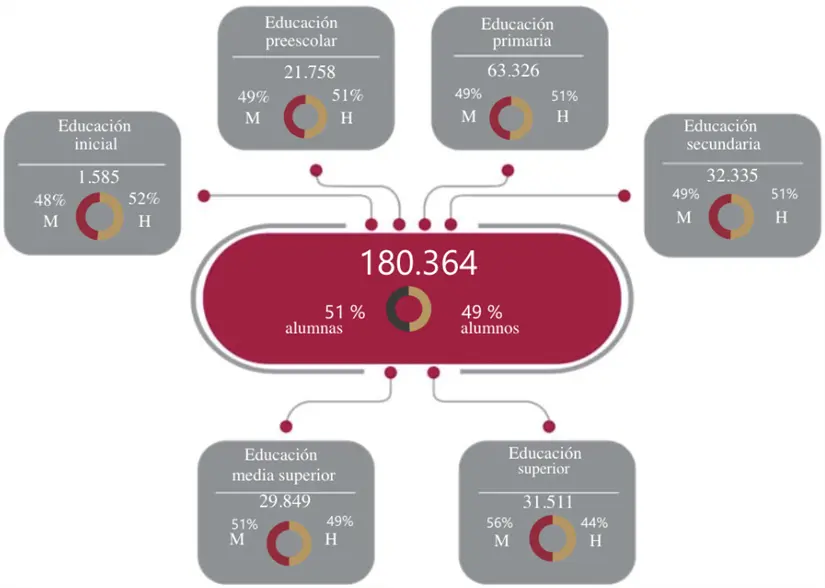 Alumnado por niveles en la zona sur.
