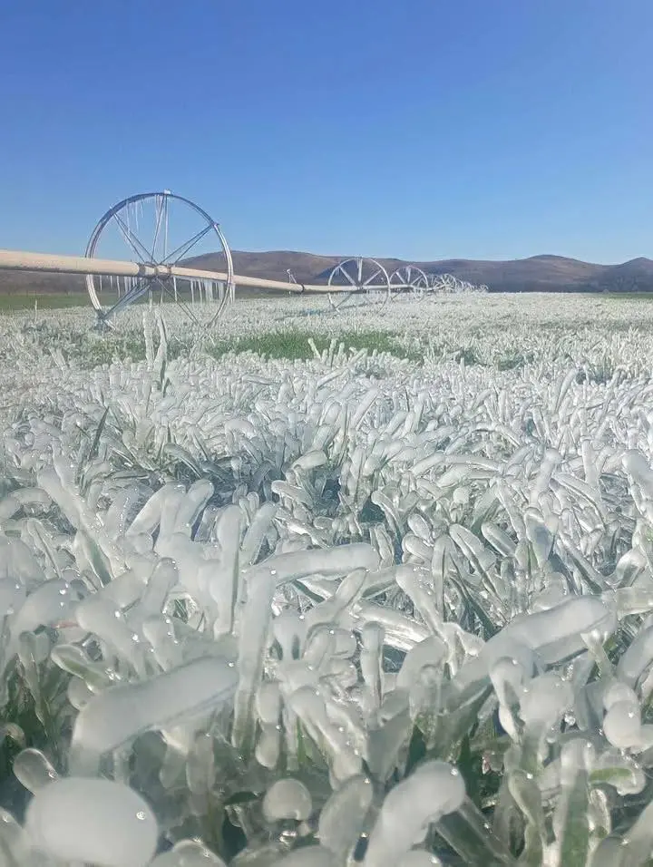 Caída de nieve y temperaturas de hasta 5°C así afecta la segunda tormenta invernal a Chihuahua