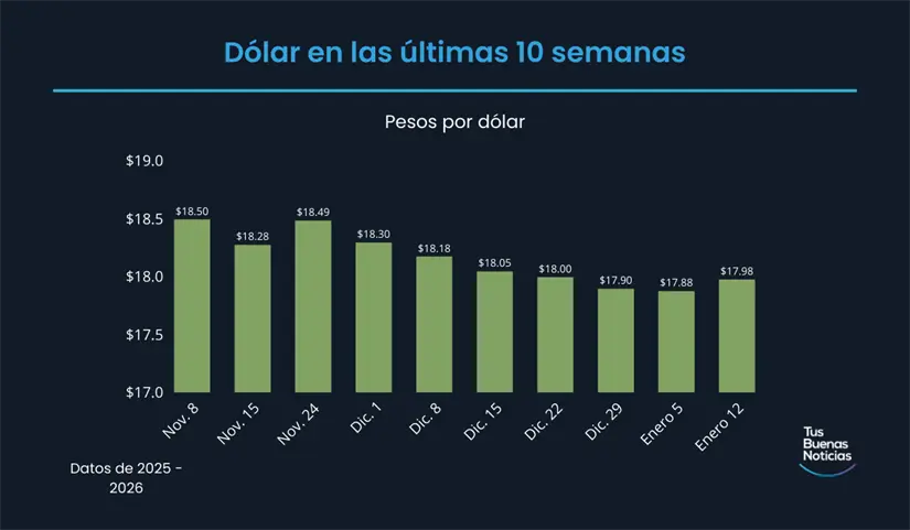 Dólar en las últimas 10 semanas de acuerdo al DOF. Foto: TBN