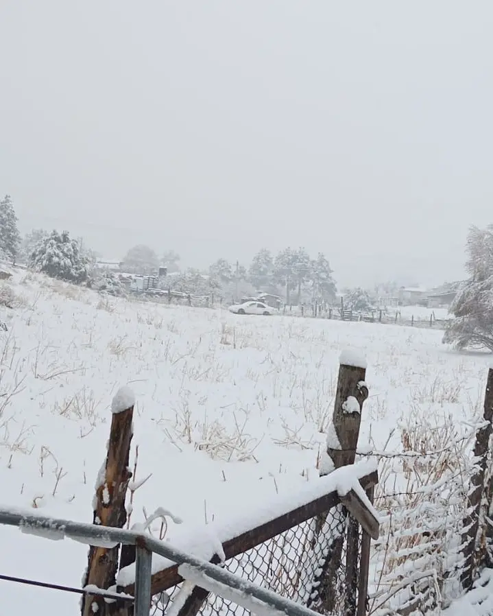 El Vergel en Balleza