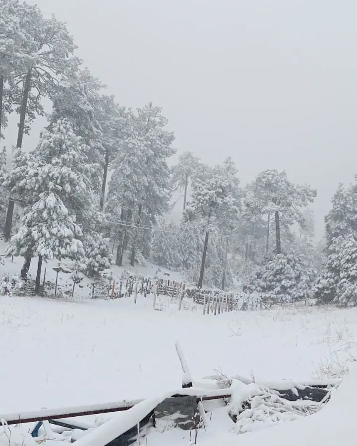 El Vergel en Balleza