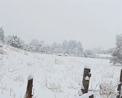 Segunda tormenta invernal cubre de nieve y aguanieve a varios municipios de Chihuahua