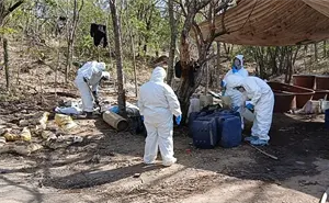 Autoridades desmantelan tres laboratorios clandestinos de drogas sintéticas en Durango, Sinaloa y Michoacán