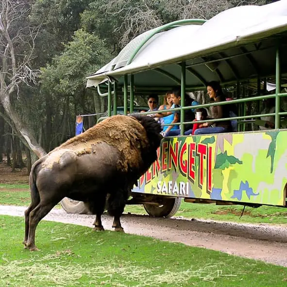 Disfruta de una tarde llena de diversión y aprendizaje. Foto: Cortesía.