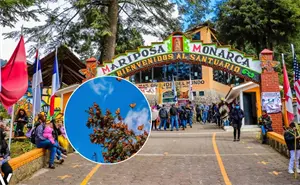 Así es el tour por el santuario de las mariposas monarcas en Michoacán que debes vivir