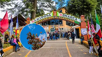 Así es el tour por el santuario de las mariposas monarcas en Michoacán que debes vivir