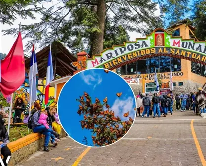 As&iacute; es el tour por el santuario de las mariposas monarcas en Michoac&aacute;n que debes vivir