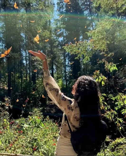 Tour por la Sierra Chincua. Foto: cortesía.