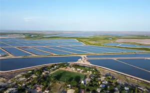 Gobierno de Sinaloa anuncia nuevas fechas de siembra y cosecha de camarón para 2026