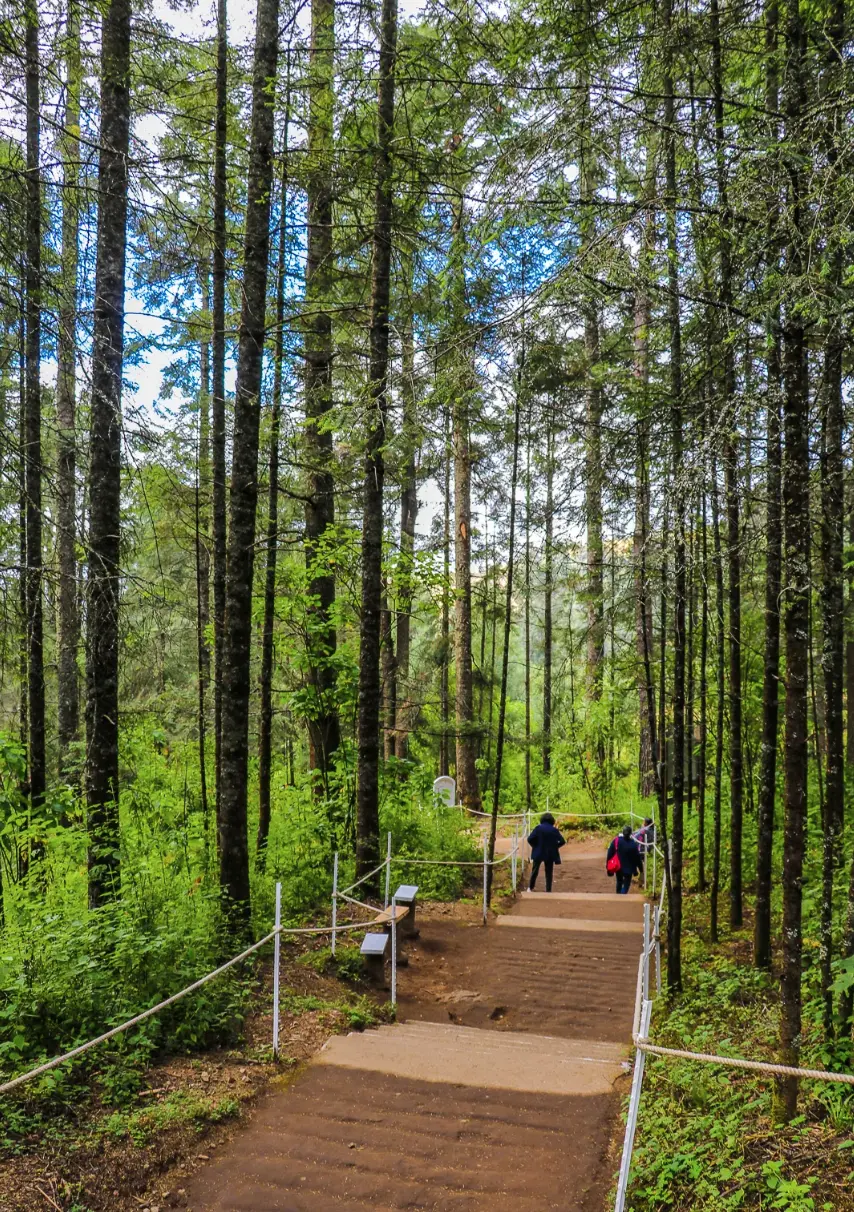Tour para observar a las mariposas monarcas en Michoacán. Foto: cortesía.