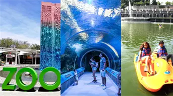 Los mejores 20 lugares para visitar con niños en Guadalajara