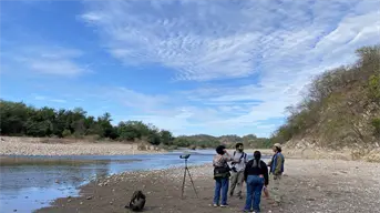 Más de 40 especies avistadas en San Ignacio durante el Conteo Latinoamericano de Aves Urbanas