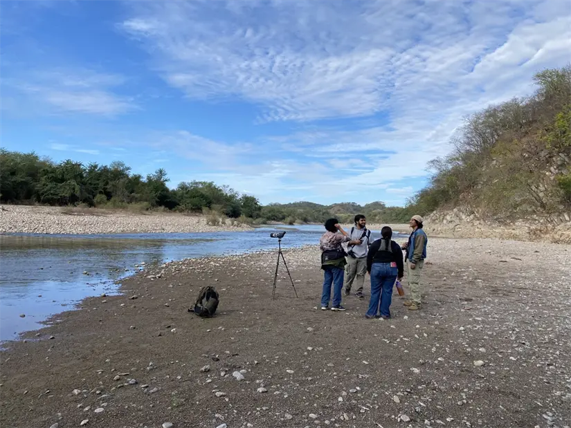 El río Piaxtla, refugio natural en el Sexto Conteo de Aves Urbanas de América Latina