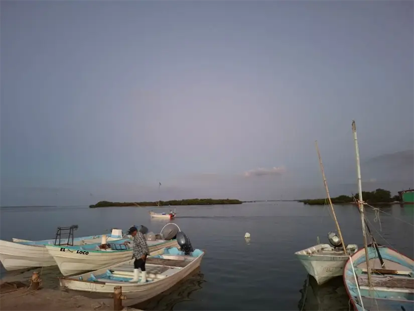 Flor Emilia Guerra Mena, secretaria de Pesca y Acuacultura, llamó a los pescadores a registrar sus solicitudes con anticipación.