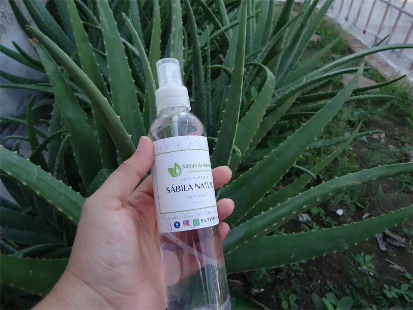 Un día sin darse cuenta, descubrió que tenía la solución a muchos problemas en la puerta de su casa.