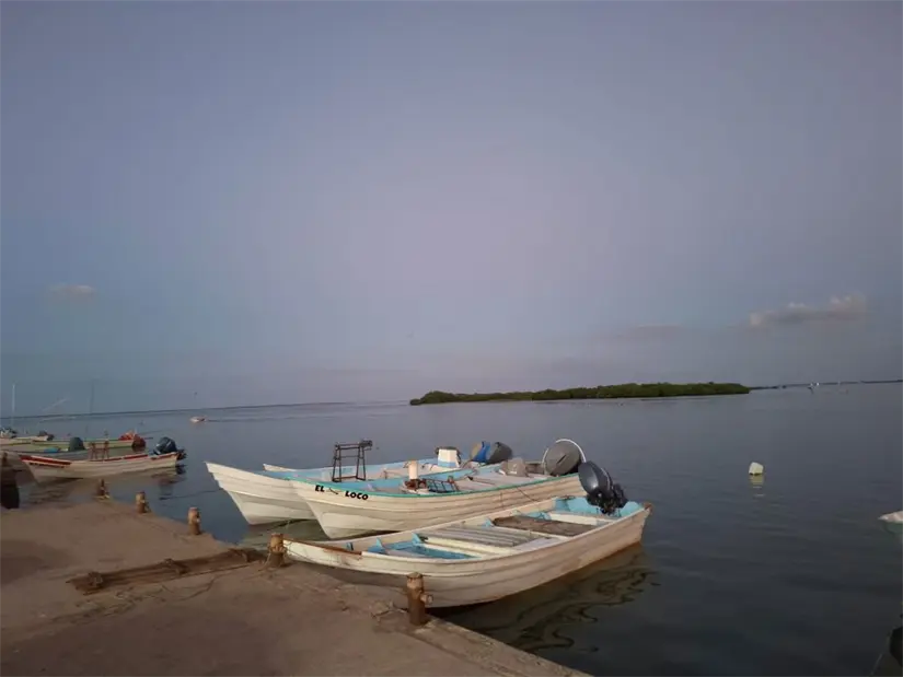 La Secretaría de Pesca y Acuacultura abrió ventanillas para programas de apoyo dirigidos a pescadores y acuicultores del estado.