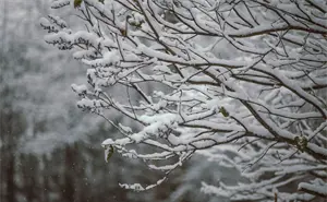 Tercera tormenta invernal azotará México: se esperan nevadas, vientos y torbellinos en varios estados