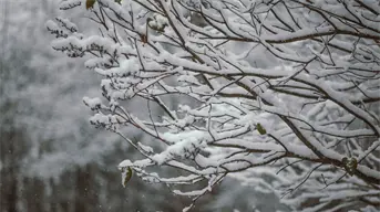 Tercera tormenta invernal azotará México: se esperan nevadas, vientos y torbellinos en varios estados