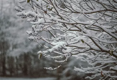 Tercera tormenta invernal azotar&aacute; M&eacute;xico: se esperan nevadas, vientos y torbellinos en varios estados