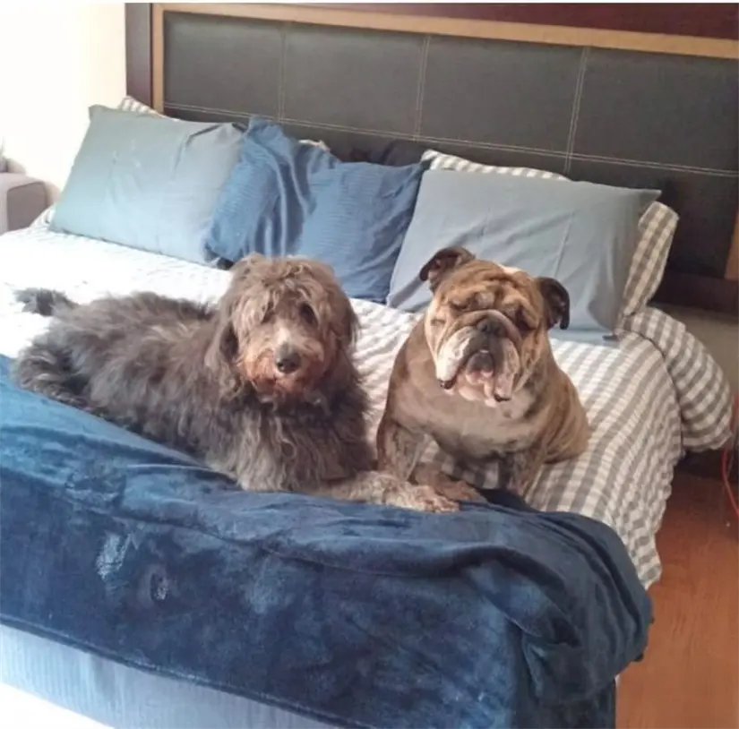 Habitación de la casa de Jorge Coque Muñiz. Foto: Instagram