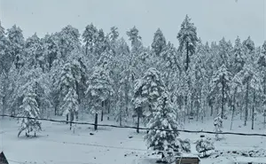 ¿Cuál es el pueblo mas frio de México actualmente?