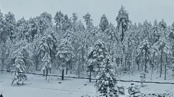¿Cuál es el pueblo mas frio de México actualmente?