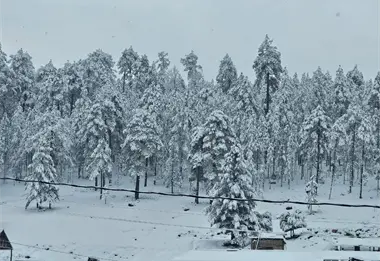 &iquest;Cu&aacute;l es el pueblo mas frio de M&eacute;xico actualmente?