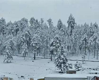 &iquest;Cu&aacute;l es el pueblo mas frio de M&eacute;xico actualmente?