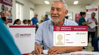INAPAM te ayuda a ganar dinero extra: Así puedes conseguir empleo con tu credencial