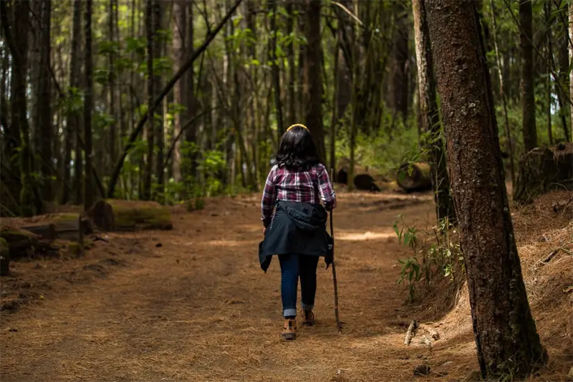 Invitan a los visitantes a seguir las reglas del Santuario Piedra Herrada para ver a la mariposa monarca. Foto: Cortesía
