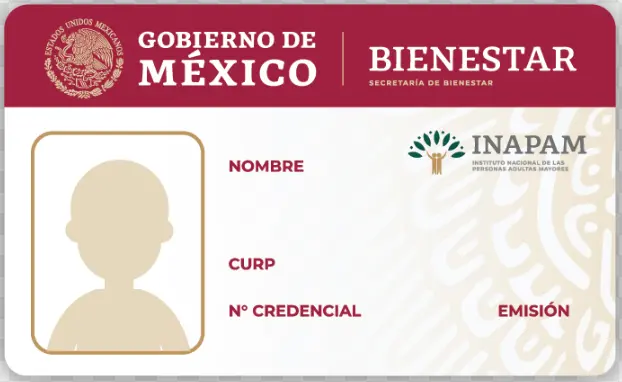 La Tarjeta INAPAM es una ayuda social que ofrece beneficios económicos y descuentos. Foto: cortesía.